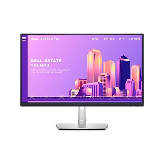 MONITOR LED 24"DELL P2422H