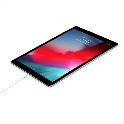 APPLE USB-C TO LIGHTNING CABO (2 M)