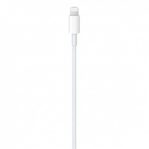 APPLE USB-C TO LIGHTNING CABO (2 M)
