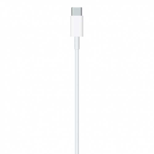 APPLE USB-C TO LIGHTNING CABO (2 M)