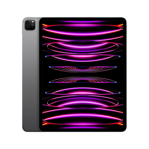 APPLE IPAD PRO 12.9"M2 WI-FI + CELLULAR 256GB SPACE GREY