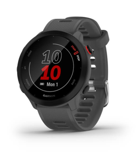 Garmin Forerunner 55 Cinzento - Smartwatch
