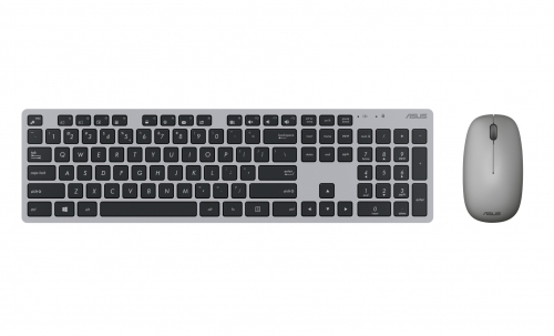 ASUS TECLADO &RATO W5000 PT/W11 CINZA