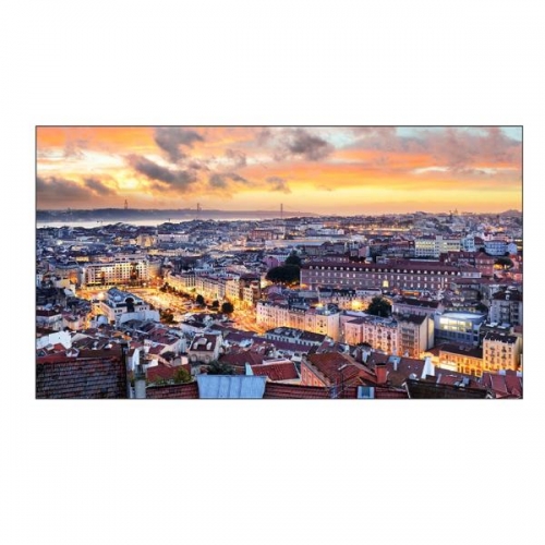 SAMSUNG DISPLAY PROFISSIONAL LFD 55"VH55B-E FH -700 cd 24/7 1.7MM