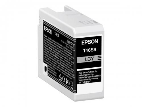 Epson T46S9 Gris Light Cartucho de Tinta Original - C13T46S900