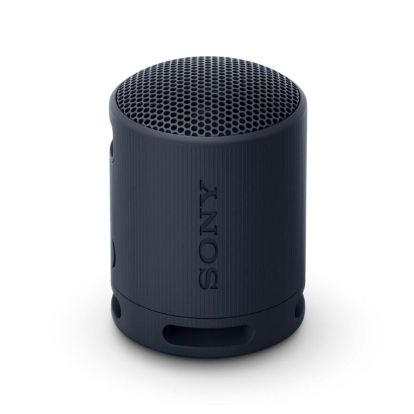 SONY COLUNA SOM WIRELESS IP67 PRETO SRSXB100B