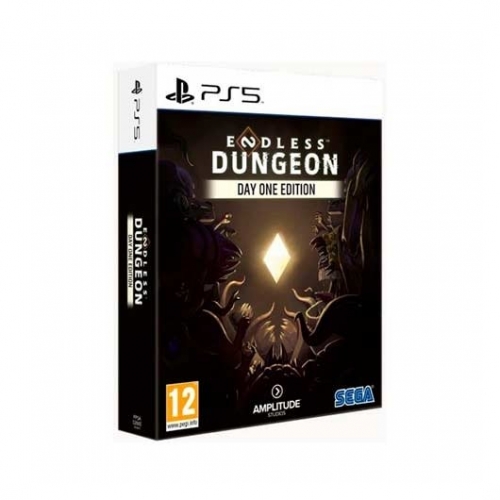 JOGO PS5 ENDLESS DUNGEON DAY ONE EDITION
