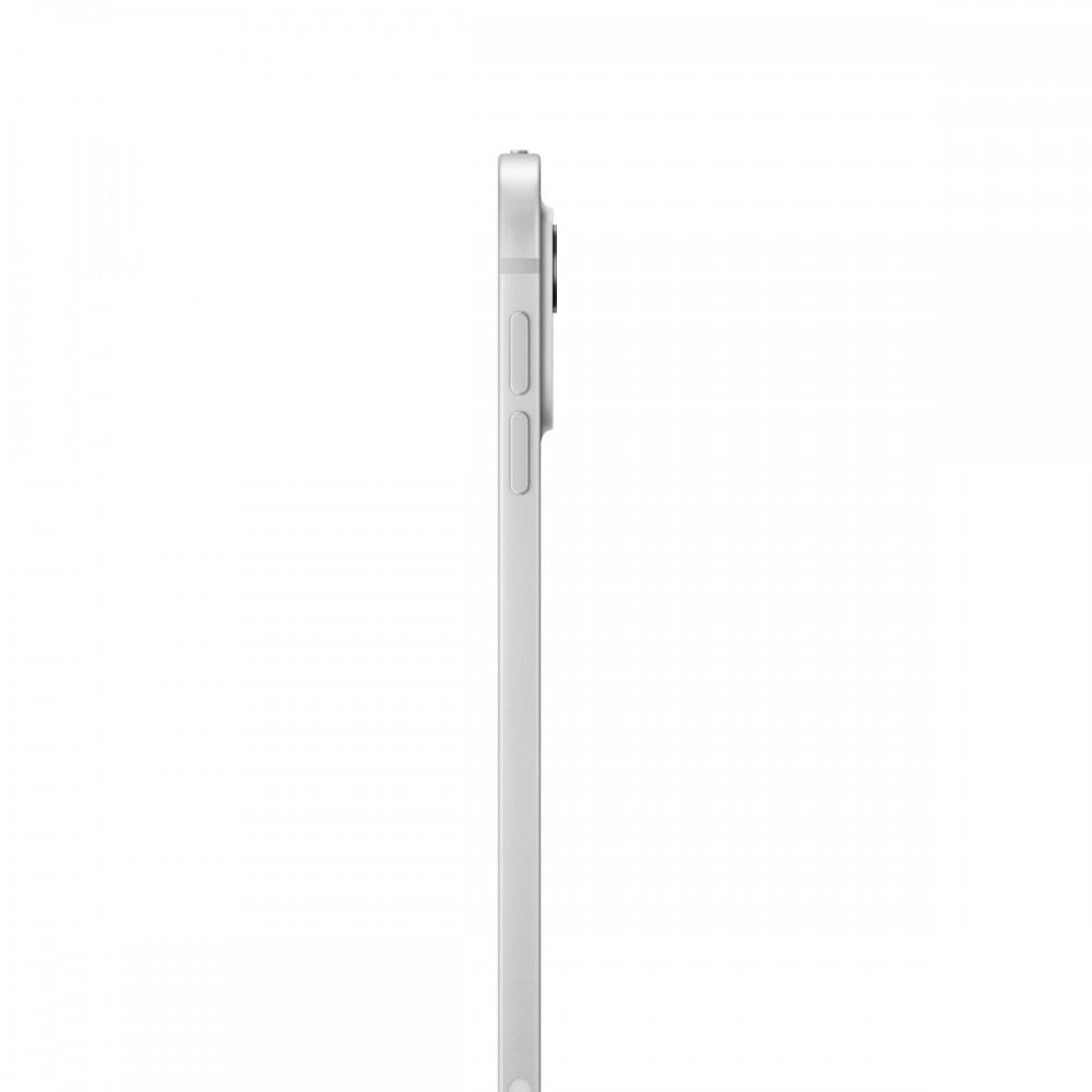 iPad Pro 11 M4 WiFi 256GB Prateado