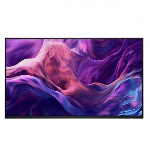 DELL PRO MONITOR 24"PLUS P2425H