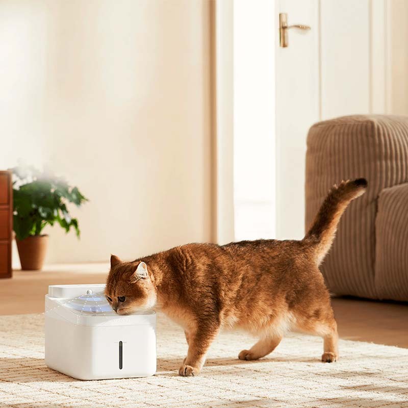 Xiaomi Smart Pet Fountain 2 - Fonte para Gatos 3L