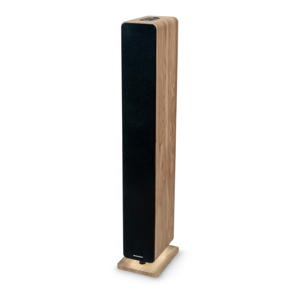 Torre de Som Bluetooth Thomson DS702 - Potência musical de 120 W - Madeira