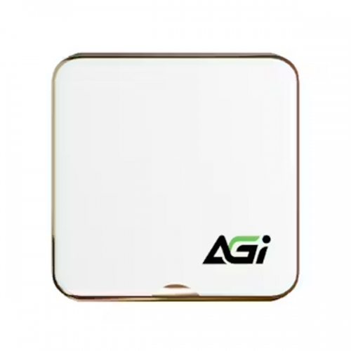 AGI SSD EXTERNO ED138 MAG 1TB USB-C BRANCO