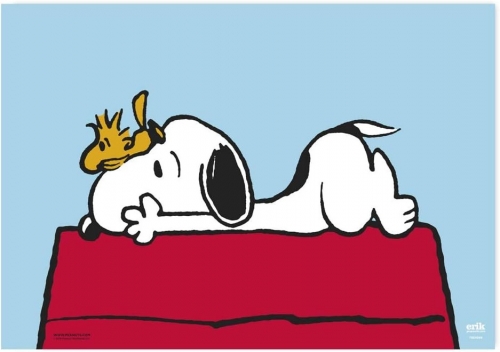 Base de Secretária - Snoopy Doghouse