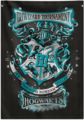 Poster de Tecido / Wall Scroll (70x100cm) - Harry Potter:Triwizard Tournament
