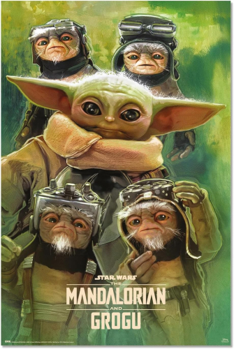 Poster:Star Wars – The Mandalorian and Grogu (Grogu Anzellans) GPE6055