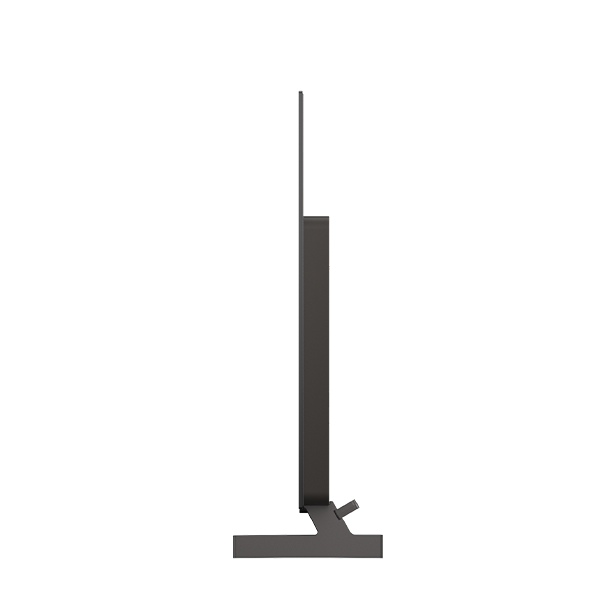 OLED LG - OLED48B65LA