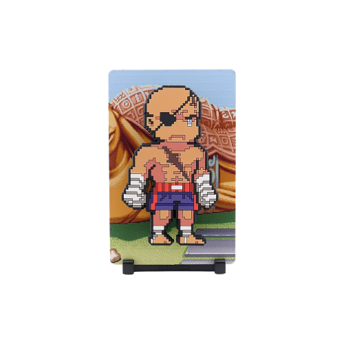 Figura FiGGYZ - Street Fighter II:Sagat 206