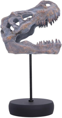 Figura Nemesis Now:Tyrannosaurus Rex Skull on Plinth