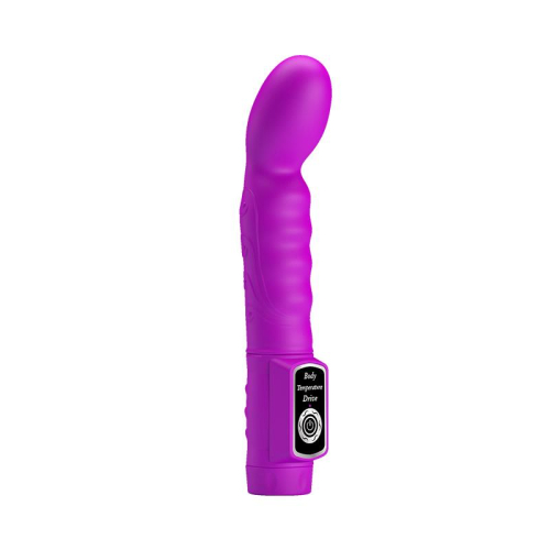 Vibrador Bode Touch Cor Roxo