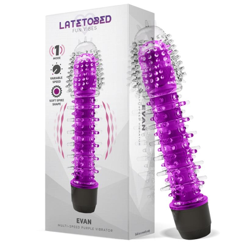 Evan Vibrador Multi Velocidade Roxo