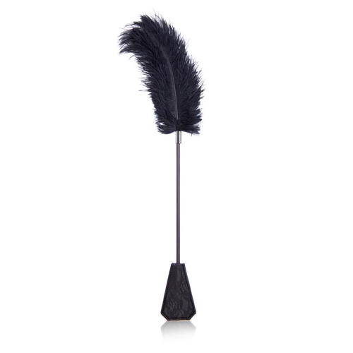 Plumero y Pá com Renda 2 en 1 56 cm Preto