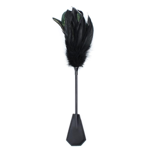 Plumero y Pá 2 en 1 48 cm Preto
