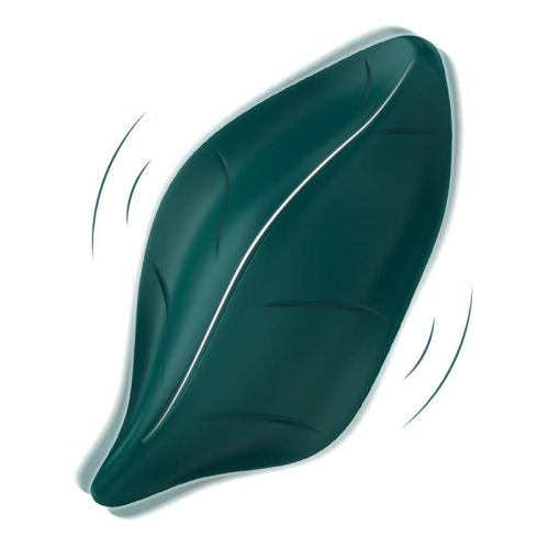 Vibrador de Calcinhas