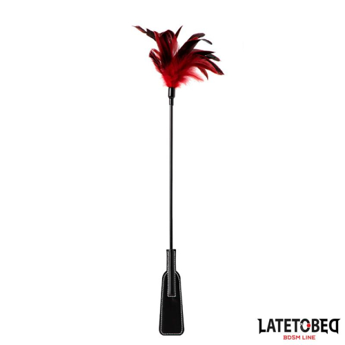 Pá com Plumas 2 en 1