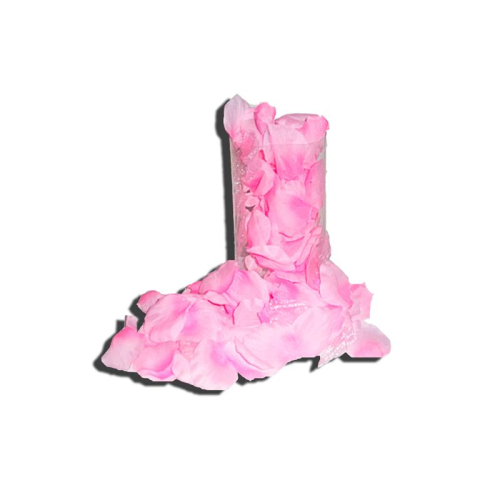 Pétalos de Rosa 120 Unidades Cor Rosa