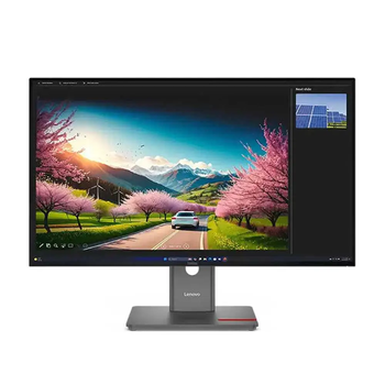 Lenovo ThinkVision P32UD-40 31.5 UHD
