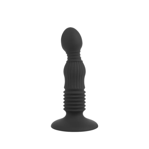 Anal Delight Controller Plug Anal 5.5 - 14.8cm