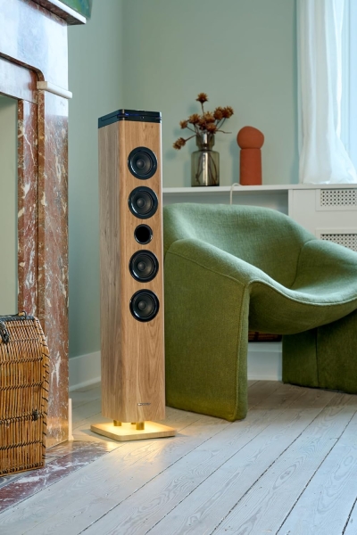 Torre de Som Thomson DS220CD 60W com Bluetooth 5.3 - Leitor de CD - Entrada AUX de 3,5 mm,USB e Leitor de Cartões SD/MMC Madeira/Preto
