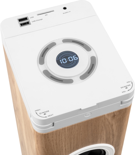 Torre de Som Thomson DS220CD 60W com Bluetooth 5.3 - Leitor de CD - Entrada AUX de 3,5 mm,USB e Leitor de Cartões SD/MMC Madeira/Branco